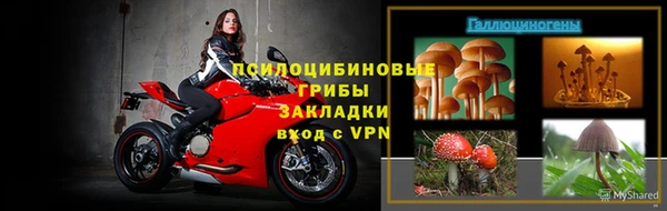ГАЛЛЮЦИНОГЕННЫЕ ГРИБЫ Беслан