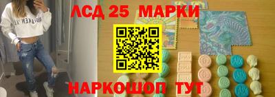 шишки Донской