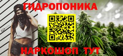 шишки Донской