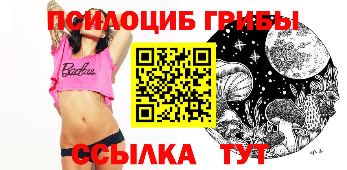 Шумерля  дарнет шоп  Вход с VPN  Псилоцибиновые грибы Psilocybine cubensis 