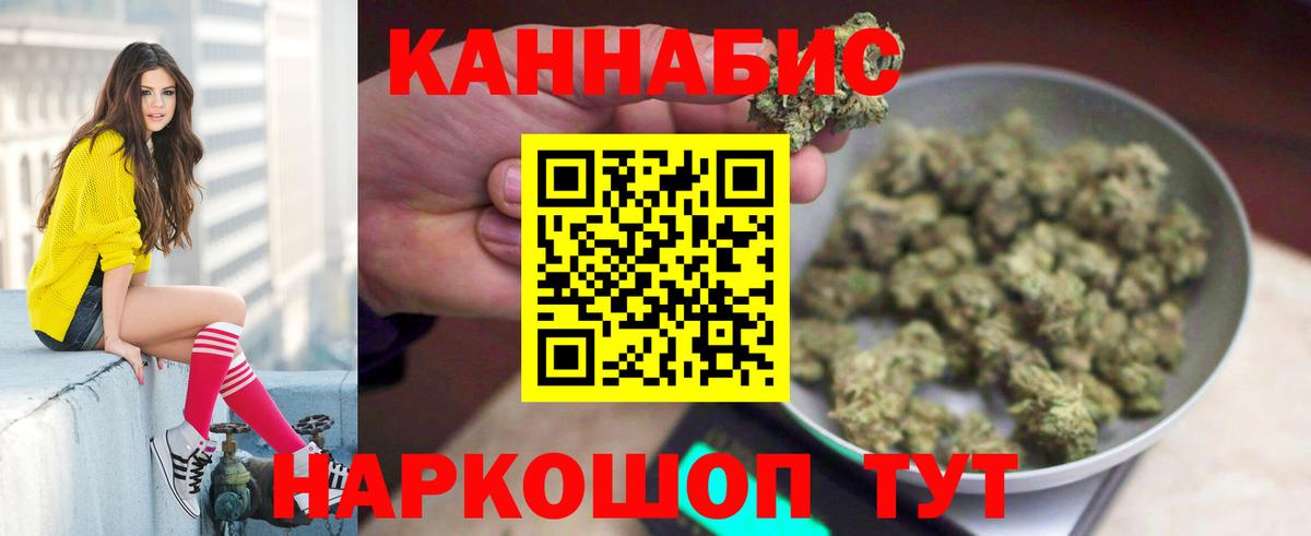 Конопля Ganja  МАРИХУАНА планчик  Шумерля  Бошки Шишки гибрид 